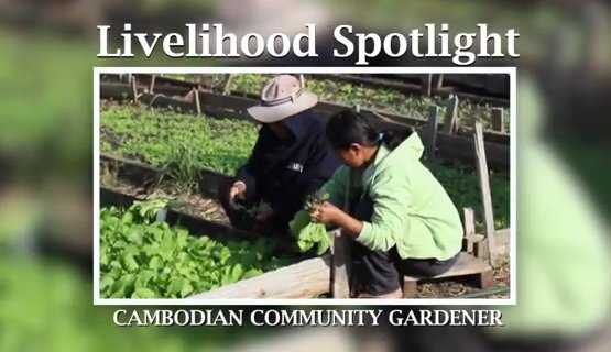 Cambodian Community Gardener